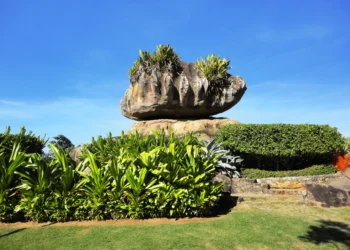 Parque Pedra da Cebola lança projeto educativo sobre as quatro estações do ano, com atividades gratuitas de educação ambiental em Vitória.