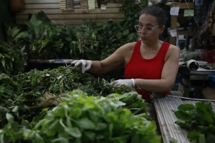 Barracas de ervas no Mercadão de Madureira mantêm viva a tradição das religiões afro-brasileiras, unindo agricultura, espiritualidade e saberes ancestrais com atenção ao uso seguro das plantas.