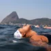 Iniciativas no Rio de Janeiro usam atividades físicas coletivas na praia para promover acolhimento, saúde mental e liberdade a pessoas trans, travestis e não-binárias.