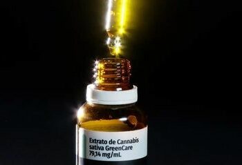 A Anvisa aprovou novas regras para a produção, pesquisa e regularização de produtos à base de cannabis medicinal no Brasil, ampliando o acesso ao canabidiol com controle sanitário.
