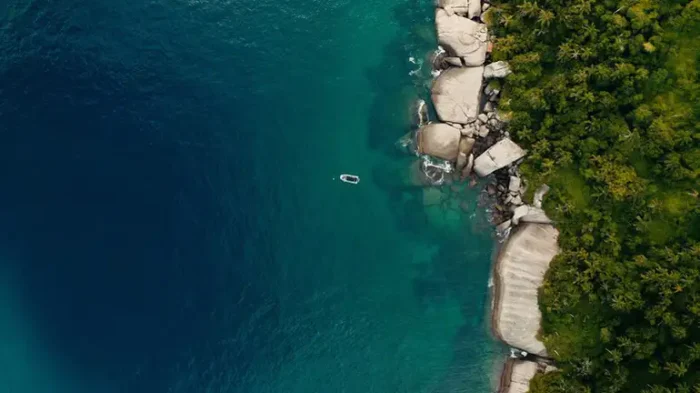 TV Brasil exibe neste domingo o documentário Mar Brasileiro, que apresenta iniciativas de preservação ambiental e conscientização sobre a proteção da costa brasileira.