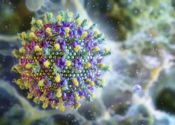 Novo surto do vírus Nipah na Índia leva países asiáticos a reforçar controles sanitários. OMS aponta alta letalidade, mas baixo potencial pandêmico.