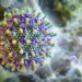 Novo surto do vírus Nipah na Índia leva países asiáticos a reforçar controles sanitários. OMS aponta alta letalidade, mas baixo potencial pandêmico.