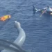 Helicóptero com oito pessoas faz pouso forçado no mar em Cabo Frio. Marinha realiza resgate e confirma que todos passam bem.