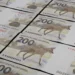 Decreto do Governo Federal fixa limites de empenho e cronograma de gastos para 2026, sem contingenciamentos iniciais e com possível revisão após relatório bimestral.
