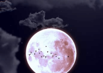 Fase da Lua hoje, 7/02/2026: saiba como está o céu neste sábado