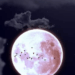 Fase da Lua hoje, 7/02/2026: saiba como está o céu neste sábado