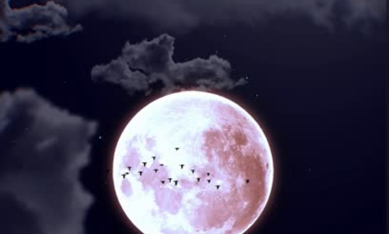 Fase da Lua hoje, 7/02/2026: saiba como está o céu neste sábado
