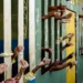 Entidades enviam à ONU denúncias sobre insegurança alimentar nas prisões e irregularidades nas audiências de custódia no Brasil, apontando possíveis violações de direitos humanos.
