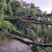 Governo Federal mobiliza equipes da Força Nacional do SUS, Suas e Defesa Civil para reforçar atendimento a vítimas das chuvas em Juiz de Fora e Ubá, em Minas Gerais.