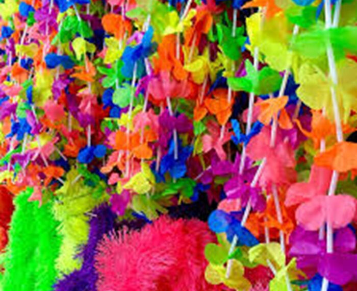 Pesquisa do Procon Vitória revela variação de até 213% nos preços de itens para o Carnaval e reforça a importância de comparar valores antes das compras.