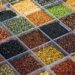 Embrapa Soja exibirá variedades pouco conhecidas no Show Rural Coopavel, reforçando a importância da diversidade genética para produtividade e adaptação da cultura.