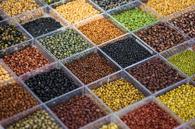 Embrapa Soja exibirá variedades pouco conhecidas no Show Rural Coopavel, reforçando a importância da diversidade genética para produtividade e adaptação da cultura.