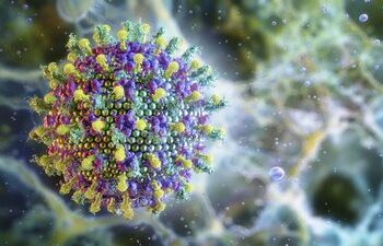 Ministério da Saúde esclarece que o Brasil não tem casos confirmados de vírus Nipah e reforça que o risco para a população é baixo, segundo avaliação da OMS.