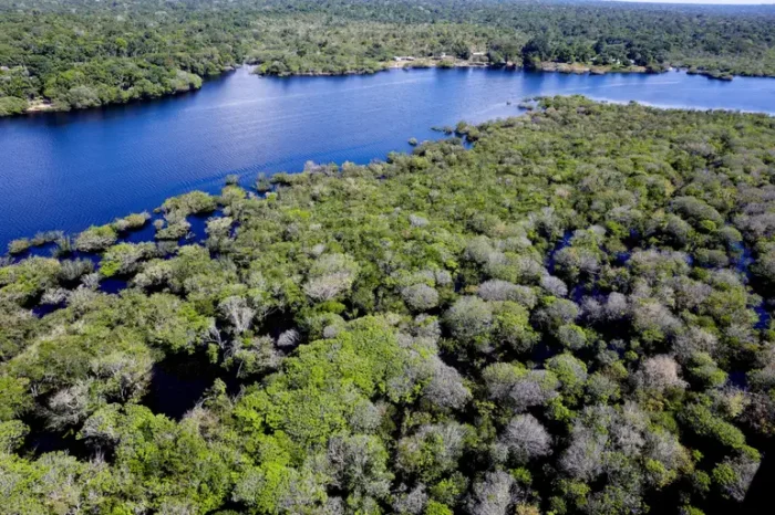 Governo abre edital de R$ 131,9 milhões para ações contra o desmatamento na Amazônia. Projeto prevê assistência técnica e apoio a agricultores familiares.