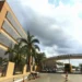 Anvisa aprova medicamento fitusirana sódica para tratamento de hemofilia no Brasil. Terapia pode reduzir sangramentos e exige aplicação a cada dois meses.