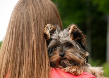 Projeto de lei propõe semana de conscientização sobre a relação entre maus-tratos a animais e violência doméstica, com ações educativas e campanhas.