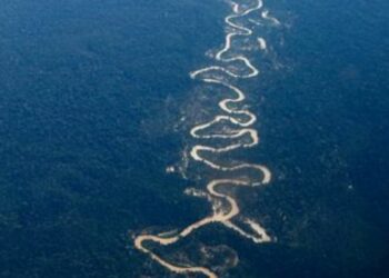 Governo federal lamenta morte de agente da Força Nacional durante operação contra garimpo ilegal na Terra Yanomami, em Roraima.