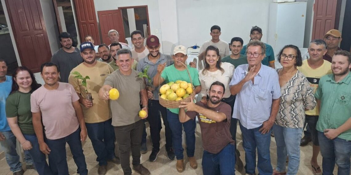 Agricultores de Piúma recebem 10 mil mudas de café conilon do projeto Arranjos Produtivos. Ação incentiva diversificação e fortalece agricultura familiar.