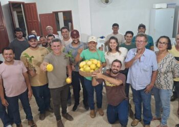 Agricultores de Piúma recebem 10 mil mudas de café conilon do projeto Arranjos Produtivos. Ação incentiva diversificação e fortalece agricultura familiar.