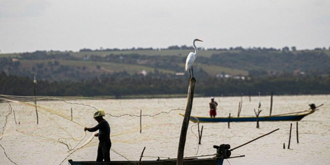 Seguro-defeso paga sexto lote a 110 mil pescadores artesanais com benefício de um salário mínimo durante o período de defeso.