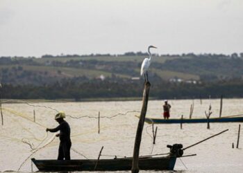 Seguro-defeso paga sexto lote a 110 mil pescadores artesanais com benefício de um salário mínimo durante o período de defeso.