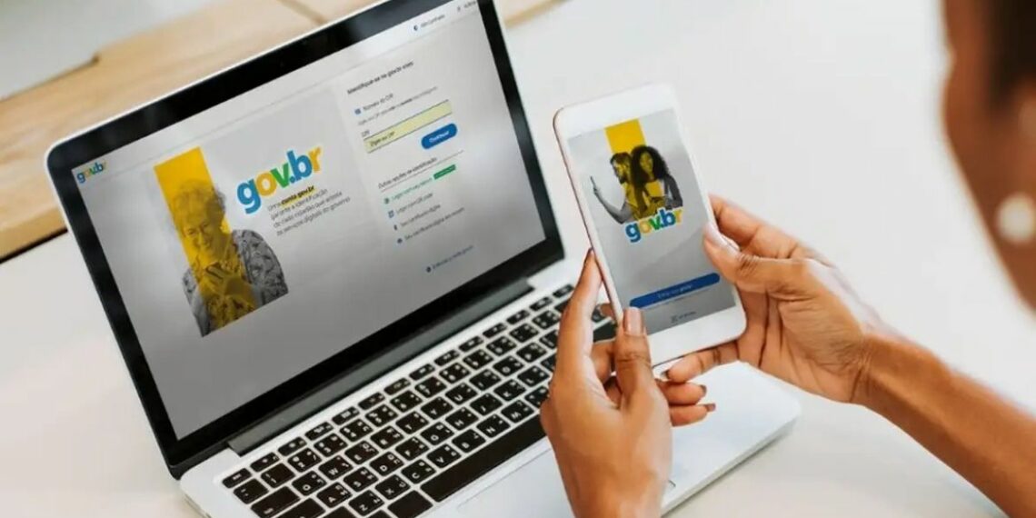 Saiba como proteger seu CPF e contas bancárias com serviços da Receita Federal e Banco Central e evitar golpes no Imposto de Renda.