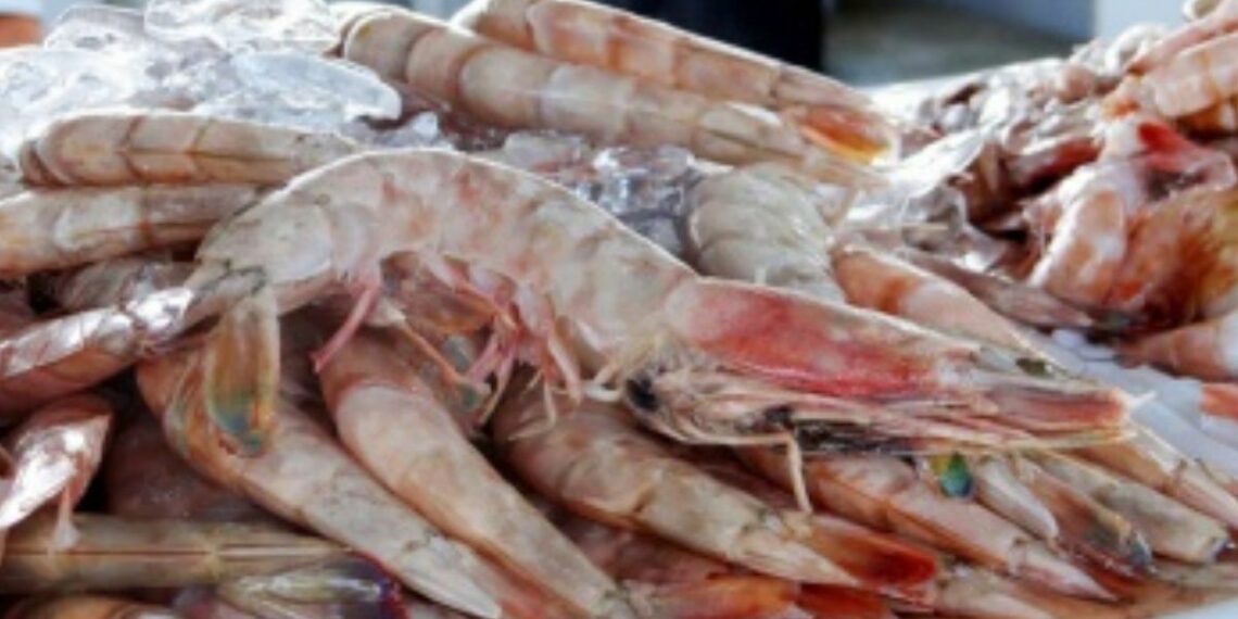 Vigilância Sanitária intensifica ações em Vitória durante a Semana Santa e orienta sobre compra segura de peixes e frutos do mar.
