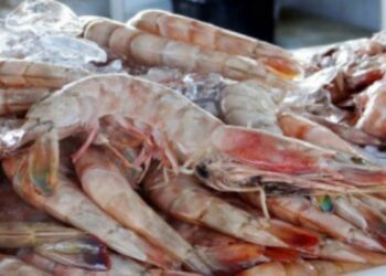 Vigilância Sanitária intensifica ações em Vitória durante a Semana Santa e orienta sobre compra segura de peixes e frutos do mar.