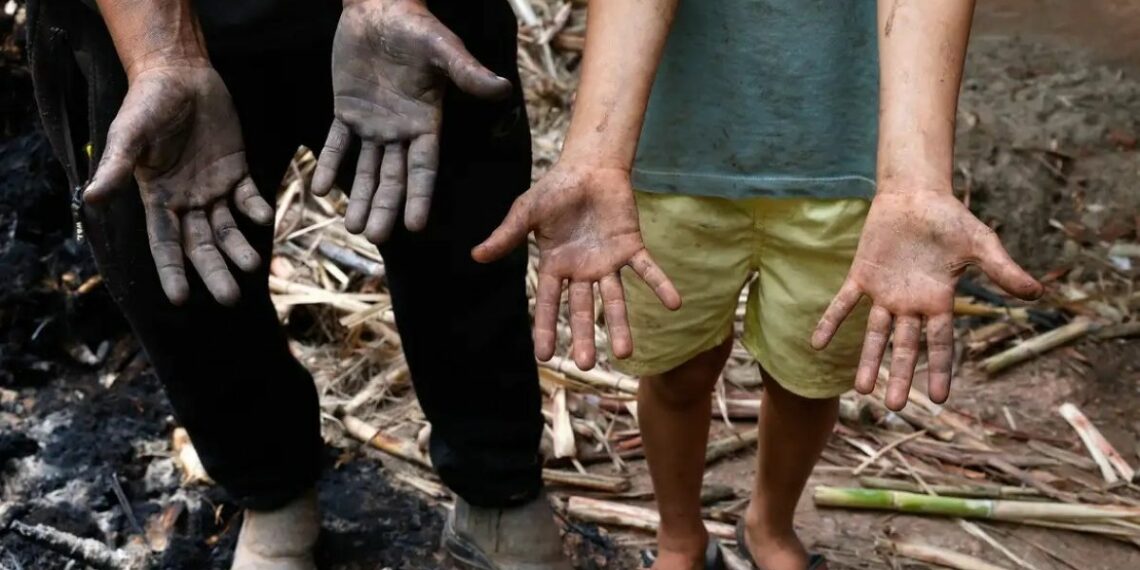 Um mês após as chuvas históricas na Zona da Mata Mineira, famílias ainda enfrentam perdas, trauma e dificuldades para reconstruir a vida. Tragédia deixou 73 mortos.