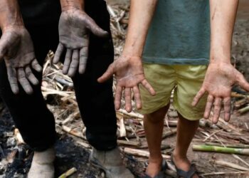 Um mês após as chuvas históricas na Zona da Mata Mineira, famílias ainda enfrentam perdas, trauma e dificuldades para reconstruir a vida. Tragédia deixou 73 mortos.
