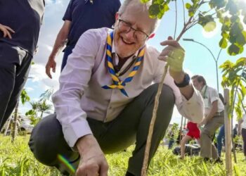 COP15 em Campo Grande resulta no plantio de bosque com espécies nativas, fortalecendo biodiversidade e ações ambientais urbanas.