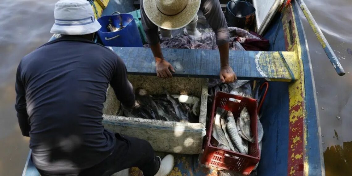 Ministério do Trabalho libera sexto lote do seguro-defeso para mais de 110 mil pescadores. Veja quem tem direito e os critérios atualizados do benefício.