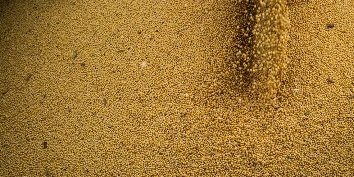 A agropecuária cresceu 11,7% em 2025 e foi responsável por quase um terço da alta de 2,3% do PIB brasileiro, segundo o IBGE. Safras recordes impulsionaram o resultado.