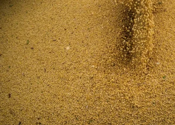 A agropecuária cresceu 11,7% em 2025 e foi responsável por quase um terço da alta de 2,3% do PIB brasileiro, segundo o IBGE. Safras recordes impulsionaram o resultado.