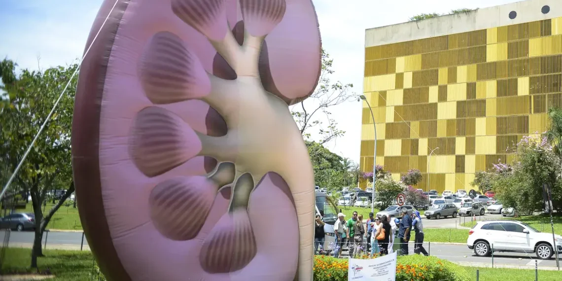 OMS reconhece a doença renal como prioridade mundial de saúde pública. Especialistas alertam para prevenção e diagnóstico precoce da doença renal crônica no Dia Mundial do Rim.