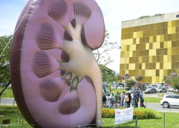 OMS reconhece a doença renal como prioridade mundial de saúde pública. Especialistas alertam para prevenção e diagnóstico precoce da doença renal crônica no Dia Mundial do Rim.
