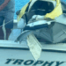 Empresário de 35 anos morre após colisão entre jet skis na Baía de Vitória. Marinha do Brasil investiga o acidente ocorrido próximo à Ponte da Passagem.