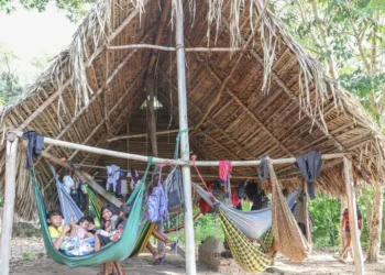 Dois anos após desintrusão na TI Apyterewa, no Pará, povo Parakanã retoma território, enfrenta ameaças e vê desmatamento cair mais de 90%.