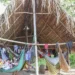 Dois anos após desintrusão na TI Apyterewa, no Pará, povo Parakanã retoma território, enfrenta ameaças e vê desmatamento cair mais de 90%.