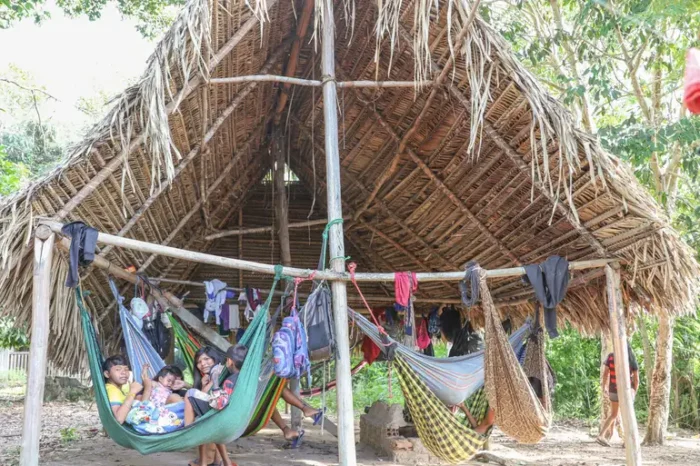 Dois anos após desintrusão na TI Apyterewa, no Pará, povo Parakanã retoma território, enfrenta ameaças e vê desmatamento cair mais de 90%.