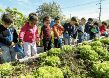 Nova resolução do FNDE torna obrigatória a educação alimentar e nutricional no currículo das escolas públicas e reforça merenda saudável no Brasil.