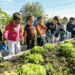 Nova resolução do FNDE torna obrigatória a educação alimentar e nutricional no currículo das escolas públicas e reforça merenda saudável no Brasil.