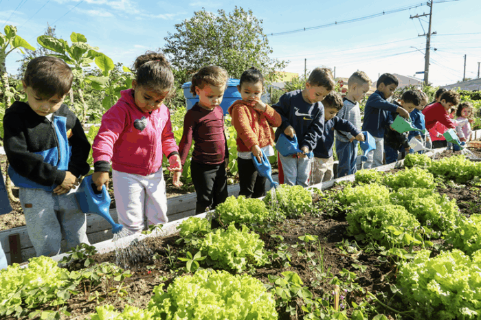 Nova resolução do FNDE torna obrigatória a educação alimentar e nutricional no currículo das escolas públicas e reforça merenda saudável no Brasil.