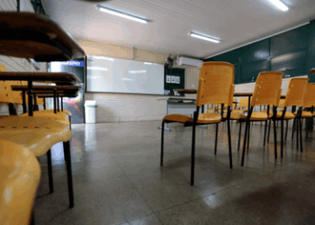 No Dia da Escola, MEC apresenta balanço de políticas e investimentos para ampliar qualidade e equidade na educação básica no Brasil.