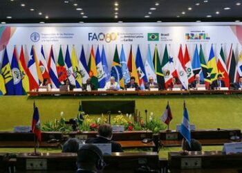 Ministro Paulo Teixeira defende transição para banir agrotóxicos no Brasil e ampliar agricultura de baixo carbono durante conferência da FAO em Brasília.
