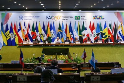 Ministro Paulo Teixeira defende transição para banir agrotóxicos no Brasil e ampliar agricultura de baixo carbono durante conferência da FAO em Brasília.