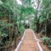 Uprise Brasil 2026 chega a Vitória com provas de trail run, MTB e atividades outdoor no Parque da Fonte Grande.