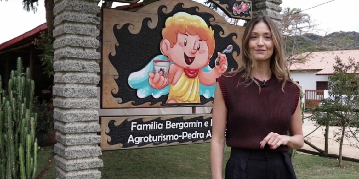 TV Ales estreia o programa “Empreendedores Capixabas – Histórias de Sucesso”, apresentado por Gabriela Mignoni, destacando empresas e trajetórias inspiradoras do Espírito Santo.