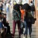 Estudo do Cedra defende a ampliação de políticas afirmativas em Santa Catarina e critica lei estadual que proíbe cotas raciais, atualmente suspensa e sob análise do STF.